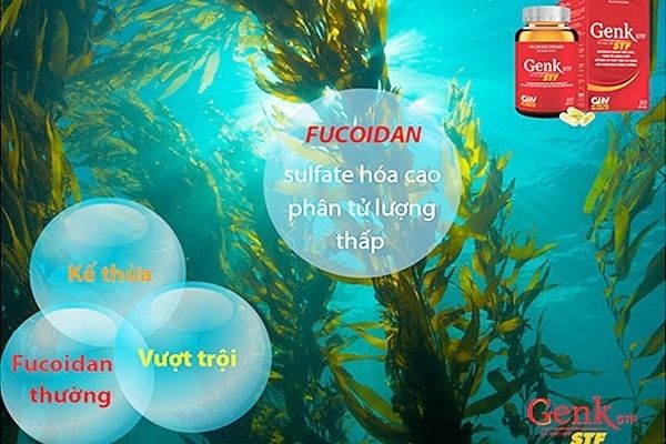 Sử dụng sản phẩm từ thiên nhiên để an toàn và tránh tác dụng phụ