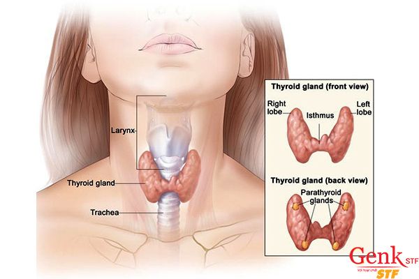 Một số Phương pháp điều trị bệnh ung thư tuyến giáp