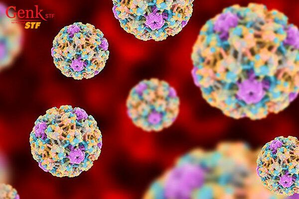 HPV là nguyên nhân chủ yếu gây ra ung thư cổ tử cung