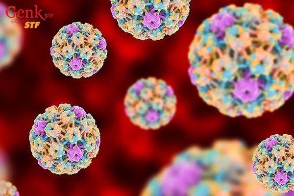 HPV đóng một phần quan trọng trong sự phát triển của ung thư da
