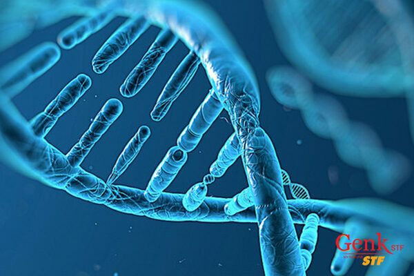 Những thay đổi DNA bật gen sinh ung hoặc tắt gen ức chế khối u có thể gây ung thư.