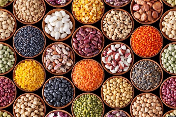 Người bệnh mỡ máu cao nên bổ sung các loại đậu vào chế độ dinh dưỡng hằng ngày