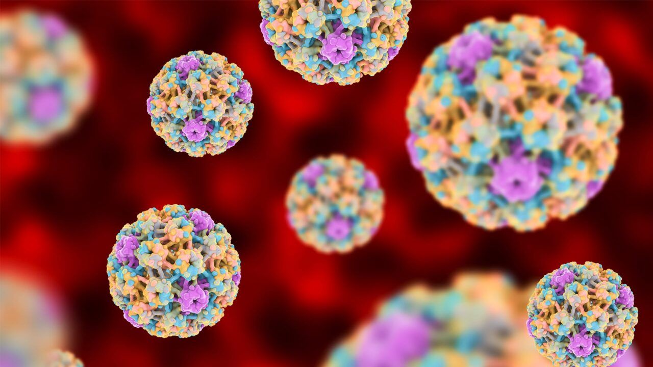 Virus HPV là nguyên nhân hàng đầu gây ung thơ cổ tử cung