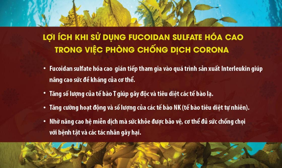 Những lợi ích khi sử dụng Fucoidan sulfate hóa cao trong phòng chống dịch corona