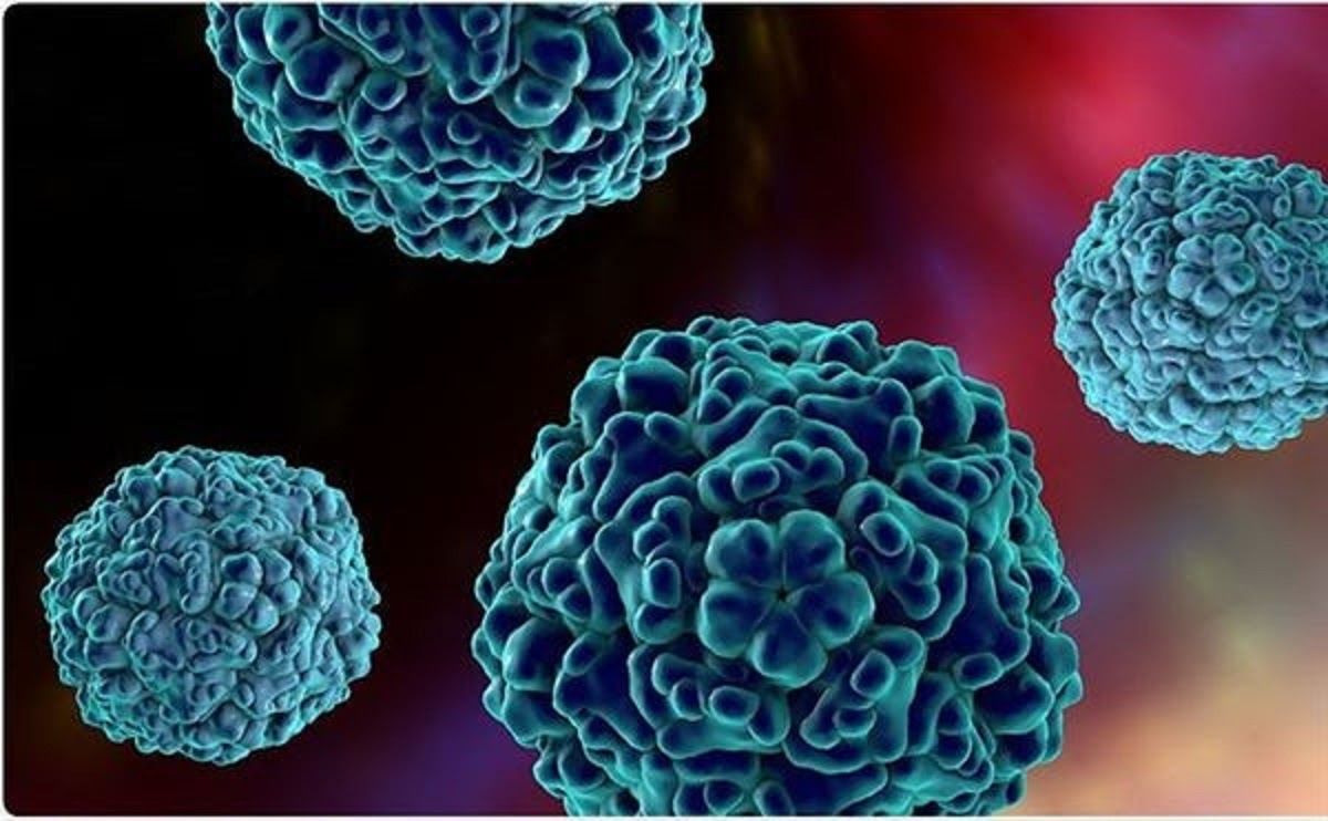 Nhiều loại virus nguy hiểm có thể lây truyền được và làm tăng nguy cơ mắc bệnh ung thư