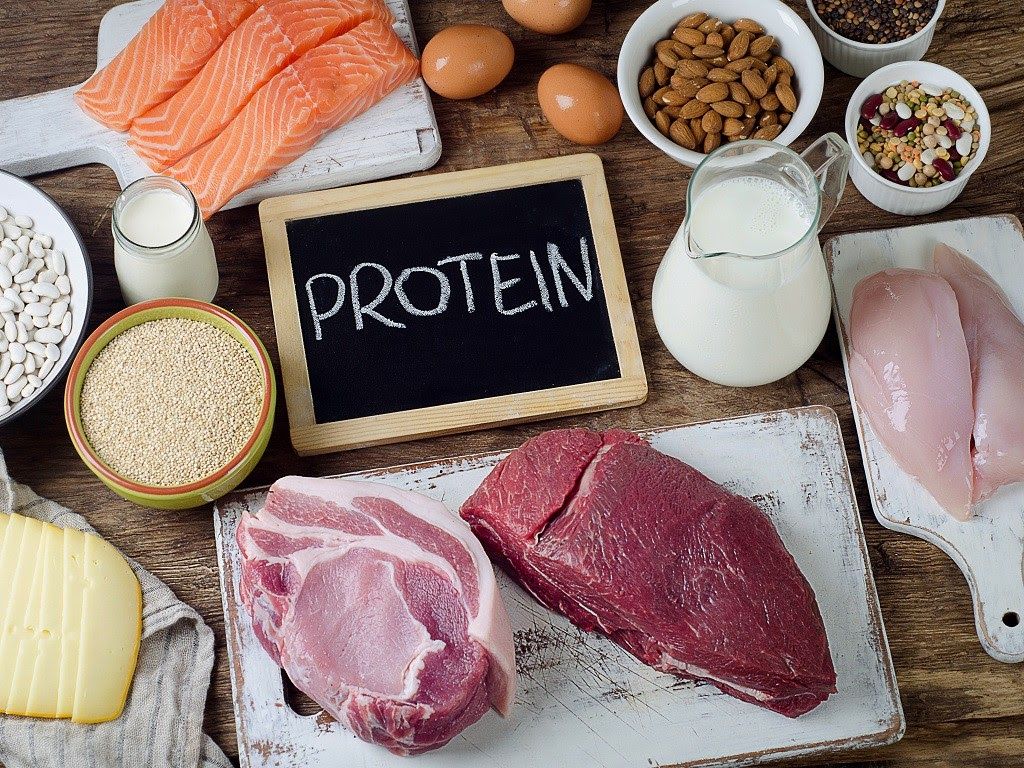 Người bệnh ung thư phổi cần bổ sung những thực phẩm giàu protein như thịt, cá, trứng, sữa