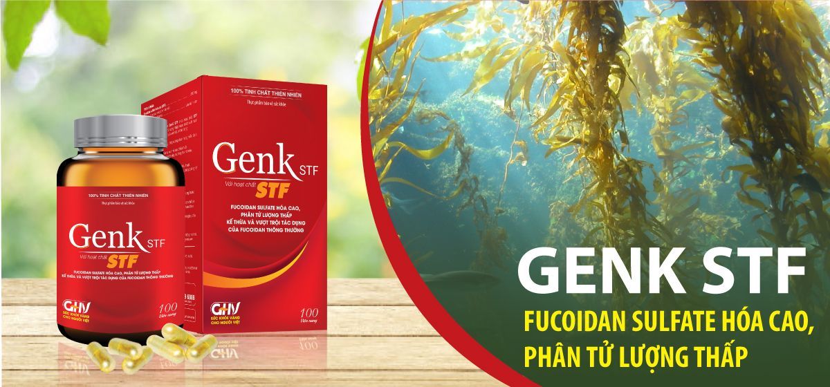 GenK STF - sản phẩm chứa hoạt chất Fucoidan sulfate hóa cao