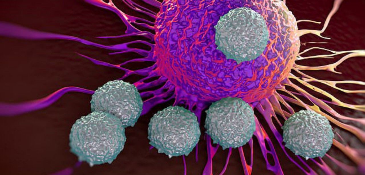 Tế bào ung thư và tế bào thông thường có nhiều điểm khác biệt