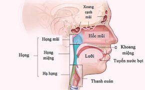 Triệu chứng cảnh báo ung thư tuyến nước bọt