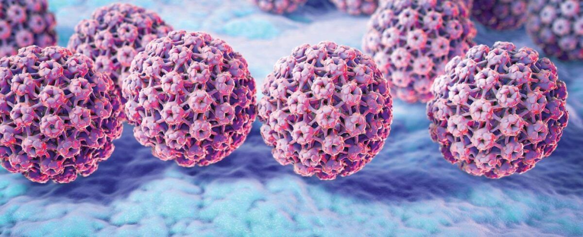 HPV chính là một trong những nguyên nhân hàng đầu gây nên tình trạng bệnh ung thư cổ tử cung