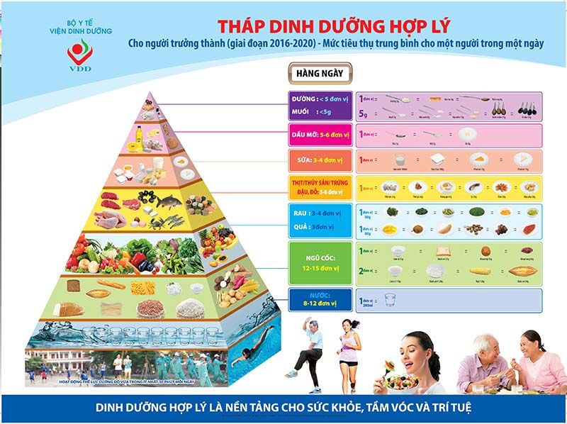 Tháp dinh dưỡng hợp lý theo Bộ Y tế - Viện Dinh dưỡng Quốc gia