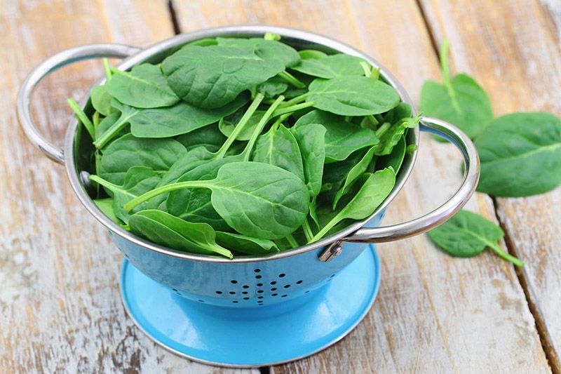 Đồ ăn tăng sức đề kháng