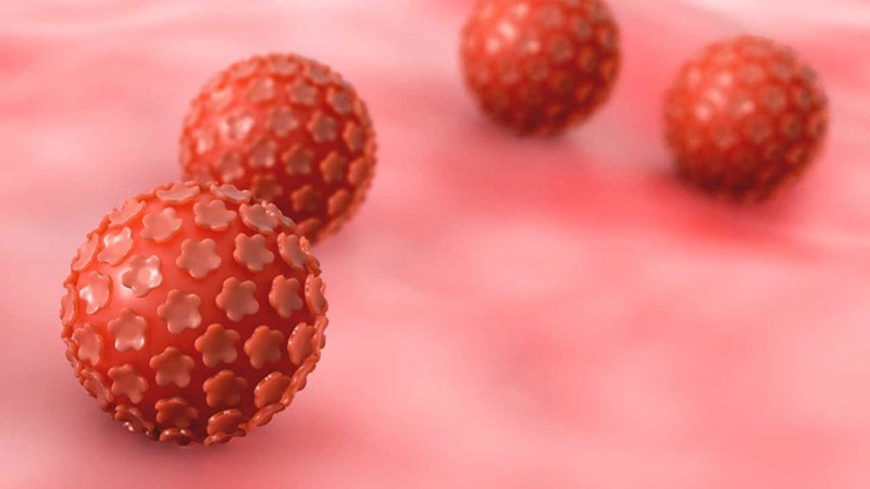 Virus HPV là nguyên nhân chủ yếu gây ra ung thư cổ tử cung