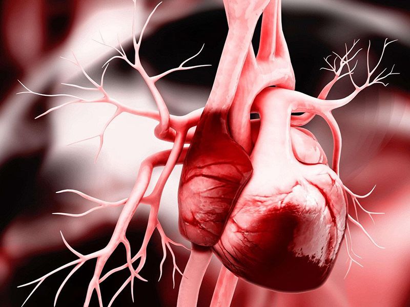 Suy tim là một trong những biến chứng nguy hiểm của bệnh rối loạn mỡ máu