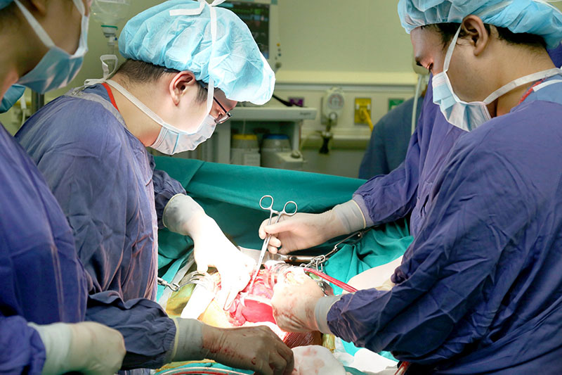 Cấy ghép nội tạng có thể là con đường gây lây nhiễm bệnh ung thư