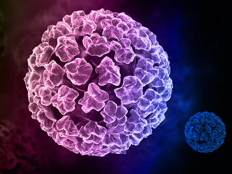 Virus HPV có thể là yếu tố làm tăng nguy cơ mắc bệnh ung thư