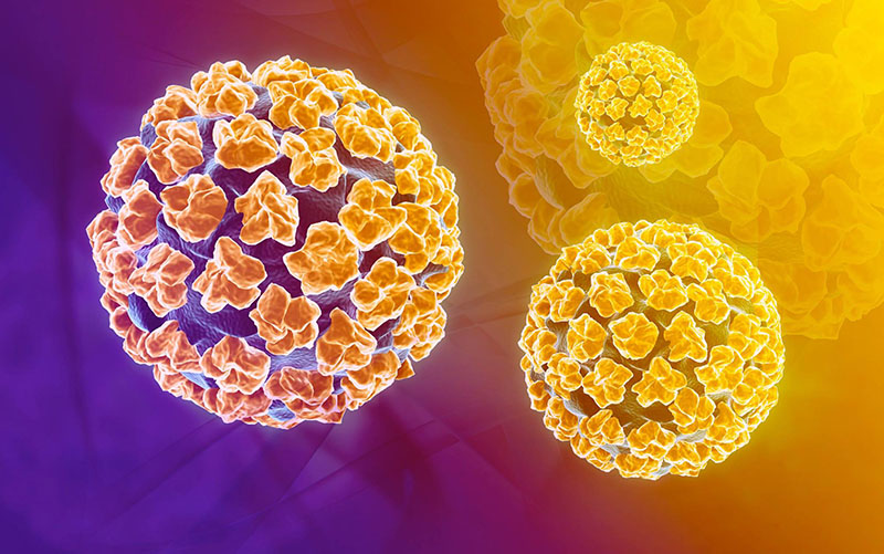 Hơn 90% các ca bệnh ung thư cổ tử cung là do nhiễm virus HPV