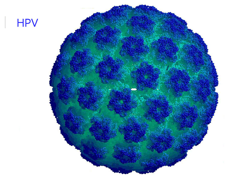 Virus HPV là nguyên nhân hàng đầu gây nên căn bệnh ung thư cổ tử cung ở nữ giới