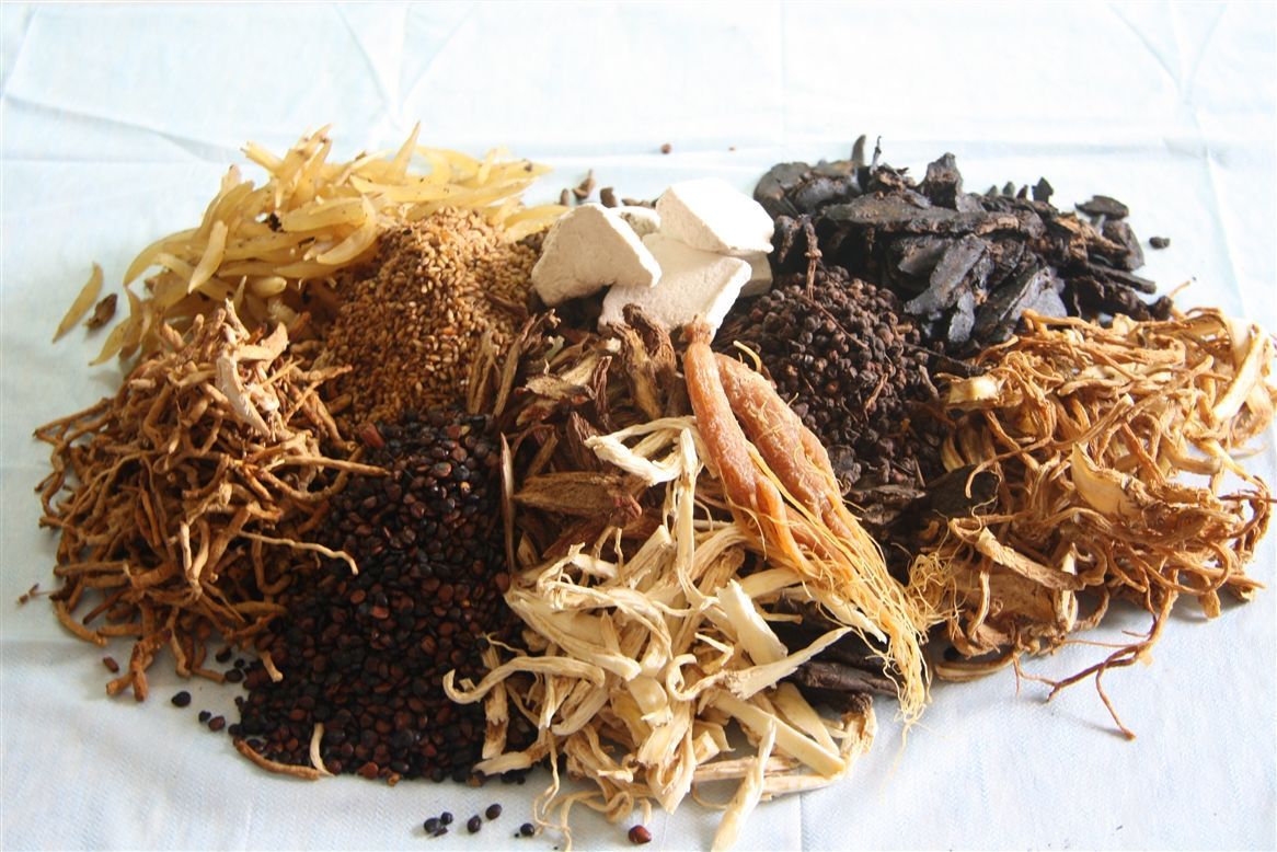 Thuốc Đông y - phương pháp hạ mỡ máu bằng thảo dược an toàn