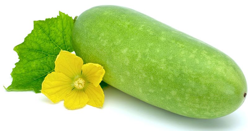 Sử dụng bí đao hàng ngày có thể cải thiện tốt tình trạng tăng mỡ máu