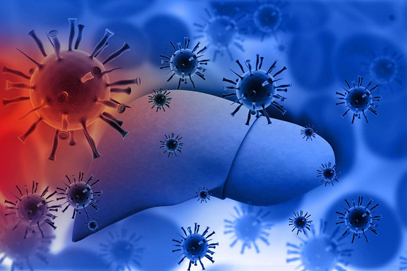 Người nhiễm virus viêm gan siêu vi B có nguy cơ cao dẫn đến HCC