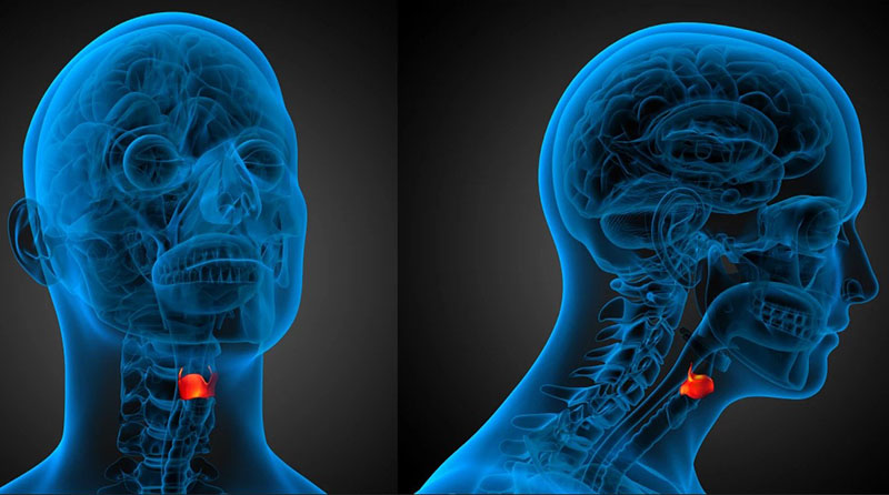 Khối u thanh quản khi có kích thước lớn có thể gây nhiều hậu quả nghiêm trọng