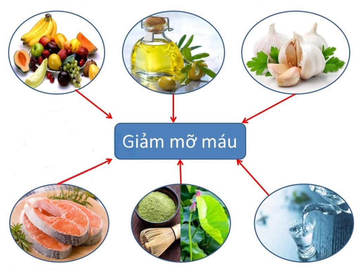 giam-mo-mau-tot-nhat_1