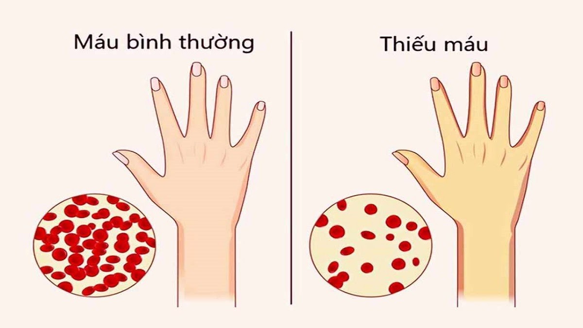 tac-dung-phu-hoa-xa-tri1