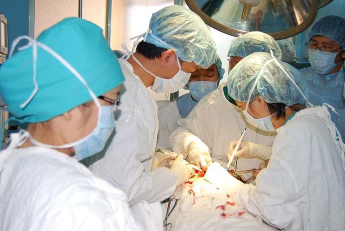 hinh-anh-ung-thu-vu_12