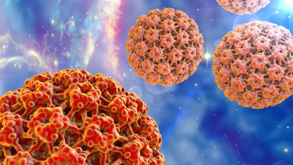 Vi rút HPV là nguyên nhân chính gây ung thư cổ tử cung