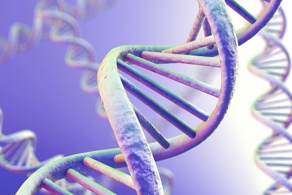 DNA Magnification