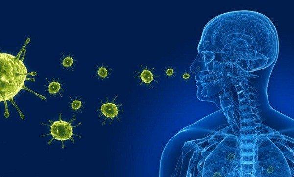 Viêm phế quản do virus gây ra có nguy cơ lây từ người bệnh sang người khỏe mạnh qua ho, hắt hơi